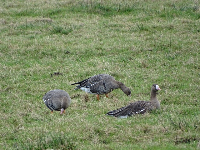 上进攻时 上进攻时