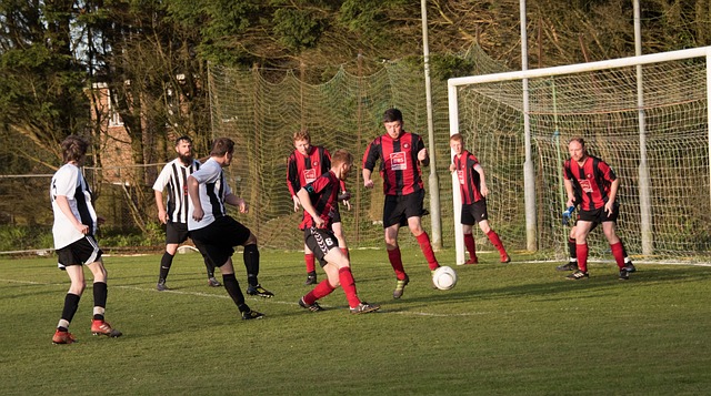 乐部关注的 乐部关注的