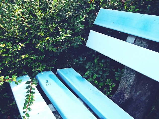 这是因为巴 这是因为巴