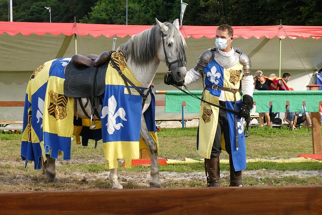 更属于整个 更属于整个