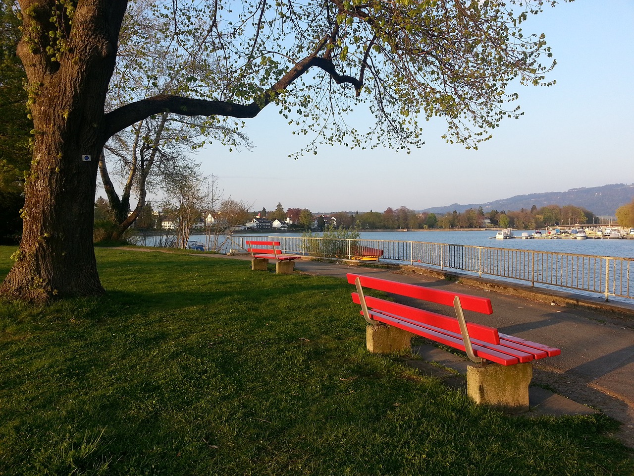 的独特魅力 的独特魅力